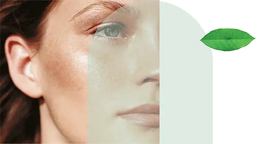 حرفه ای ترین قالب چند منظوره ایرانی